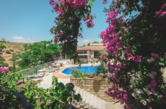 NATURAL HEALTH & LONGEVITY RETREAT — CYPRUS gallery image
